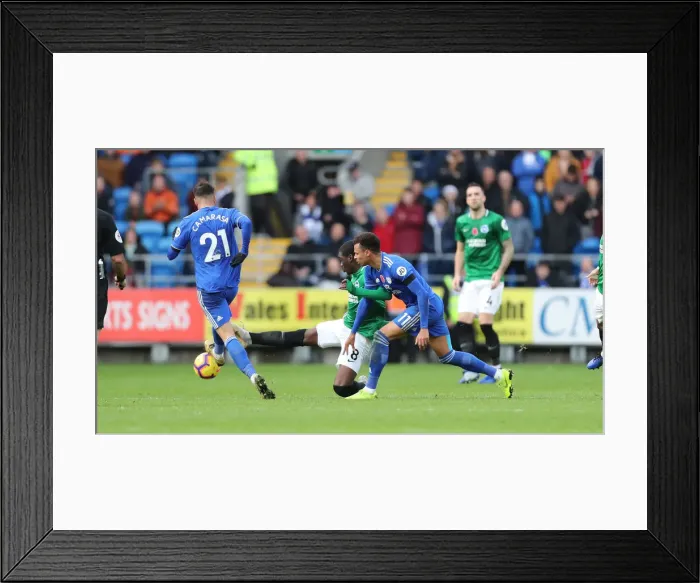 Framed Print : 10NOV18: Premier League Battle - Cardiff City vs. Brighton and Hove Albion at Cardiff City Stadium Framed Print : 10NOV18: Premier League Battle - Cardiff City vs. Brighton and Hove Albion at Cardiff City Stadium