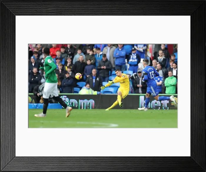 Framed Print : Premier League Showdown: Cardiff City vs. Brighton and Hove Albion (10NOV18)