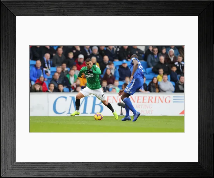 Framed Print : 10NOV18: Premier League Battle - Cardiff City vs. Brighton and Hove Albion at Cardiff City Stadium Framed Print : 10NOV18: Premier League Battle - Cardiff City vs. Brighton and Hove Albion at Cardiff City Stadium