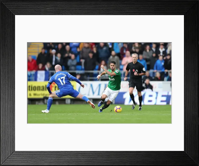 Framed Print : 10NOV18: Premier League Battle - Cardiff City vs. Brighton and Hove Albion at Cardiff City Stadium Framed Print : 10NOV18: Premier League Battle - Cardiff City vs. Brighton and Hove Albion at Cardiff City Stadium