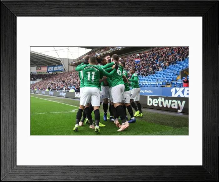 Framed Print : 10NOV18: Premier League Showdown - Cardiff City vs. Brighton and Hove Albion at Cardiff City Stadium Framed Print : 10NOV18: Premier League Showdown - Cardiff City vs. Brighton and Hove Albion at Cardiff City Stadium