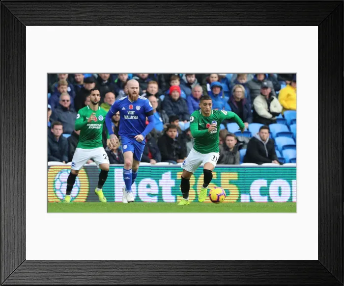 Framed Print : 10NOV18: Premier League Showdown - Cardiff City vs. Brighton and Hove Albion at Cardiff City Stadium Framed Print : 10NOV18: Premier League Showdown - Cardiff City vs. Brighton and Hove Albion at Cardiff City Stadium