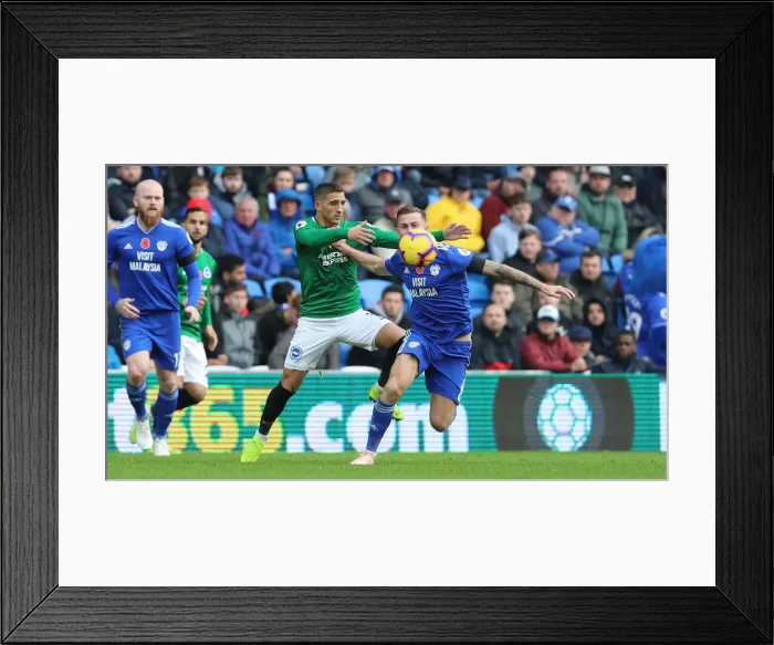 Framed Print : 10NOV18: Premier League Showdown - Cardiff City vs. Brighton and Hove Albion at Cardiff City Stadium Framed Print : 10NOV18: Premier League Showdown - Cardiff City vs. Brighton and Hove Albion at Cardiff City Stadium