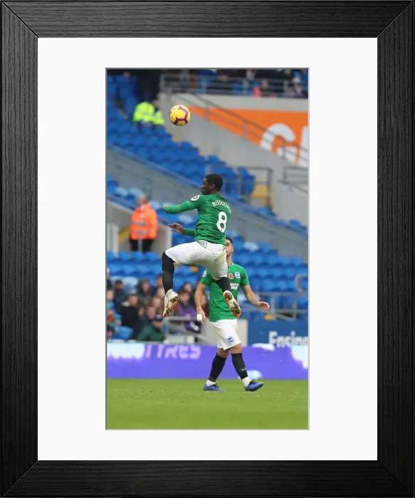 Framed Print : 10NOV18: Premier League Battle - Cardiff City vs. Brighton and Hove Albion at Cardiff City Stadium