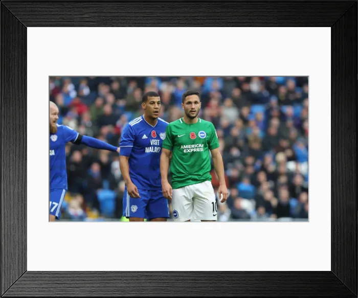 Framed Print : Premier League Showdown: Cardiff City vs. Brighton and Hove Albion (10NOV18) Framed Print : Premier League Showdown: Cardiff City vs. Brighton and Hove Albion (10NOV18)