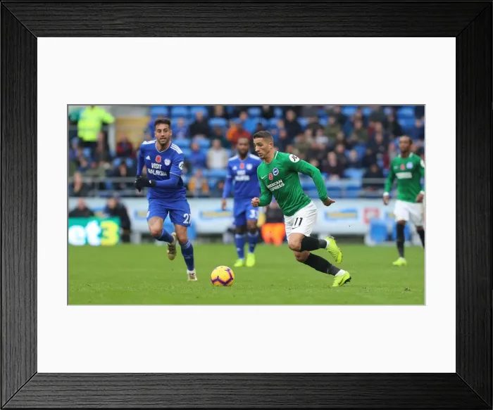 Framed Print : 10NOV18: Premier League Showdown - Cardiff City vs. Brighton and Hove Albion at Cardiff City Stadium Framed Print : 10NOV18: Premier League Showdown - Cardiff City vs. Brighton and Hove Albion at Cardiff City Stadium