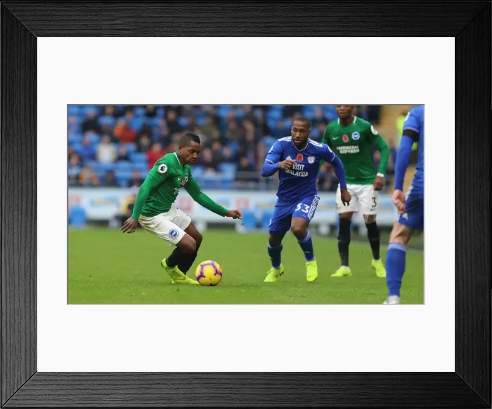 Framed Print : 10NOV18: Premier League Battle - Cardiff City vs. Brighton and Hove Albion at Cardiff City Stadium Framed Print : 10NOV18: Premier League Battle - Cardiff City vs. Brighton and Hove Albion at Cardiff City Stadium