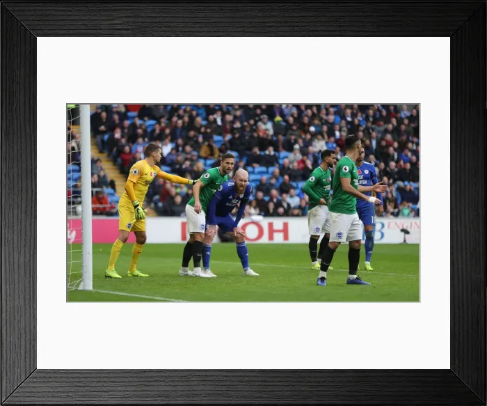 Framed Print : 10NOV18: Premier League Battle - Cardiff City vs. Brighton and Hove Albion at Cardiff City Stadium Framed Print : 10NOV18: Premier League Battle - Cardiff City vs. Brighton and Hove Albion at Cardiff City Stadium