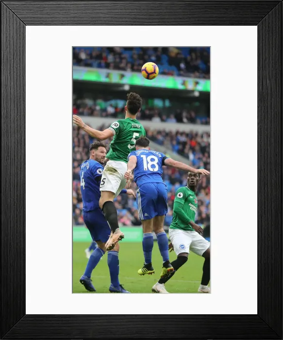 Framed Print : 10NOV18: Premier League Battle - Cardiff City vs. Brighton and Hove Albion at Cardiff City Stadium Framed Print : 10NOV18: Premier League Battle - Cardiff City vs. Brighton and Hove Albion at Cardiff City Stadium