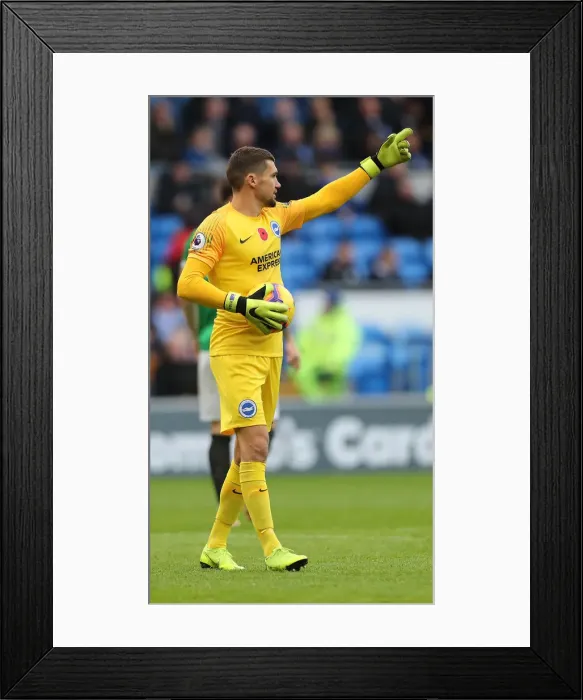 Framed Print : 10NOV18: Premier League Showdown - Cardiff City vs. Brighton and Hove Albion at Cardiff City Stadium Framed Print : 10NOV18: Premier League Showdown - Cardiff City vs. Brighton and Hove Albion at Cardiff City Stadium