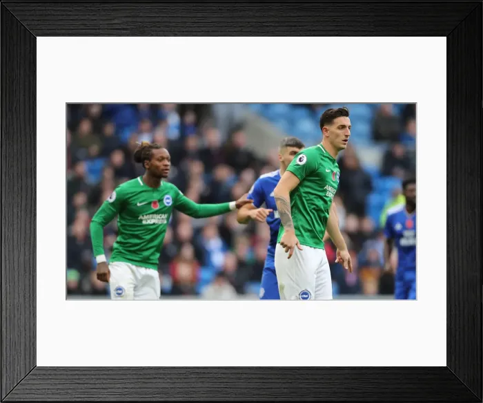 Framed Print : 10NOV18: Premier League Battle - Cardiff City vs. Brighton and Hove Albion at Cardiff City Stadium Framed Print : 10NOV18: Premier League Battle - Cardiff City vs. Brighton and Hove Albion at Cardiff City Stadium
