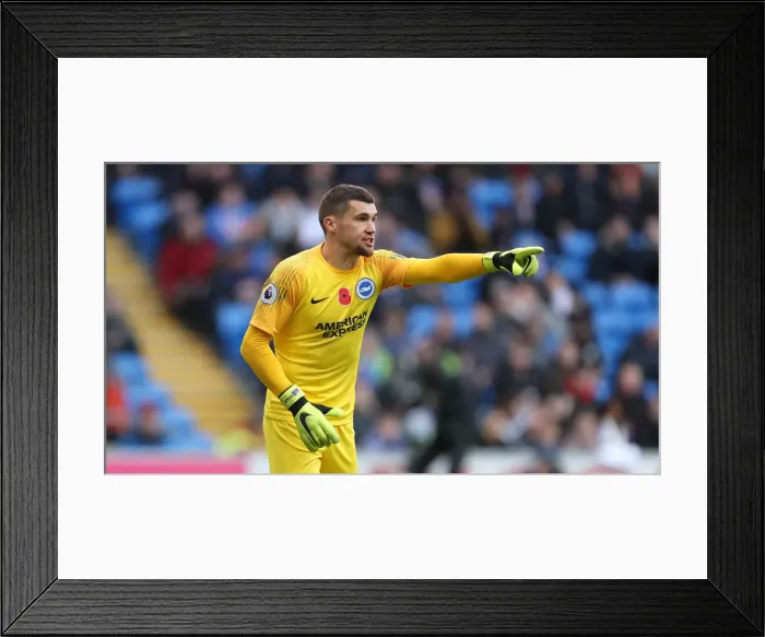 Framed Print : 10NOV18: Premier League Battle - Cardiff City vs. Brighton and Hove Albion at Cardiff City Stadium