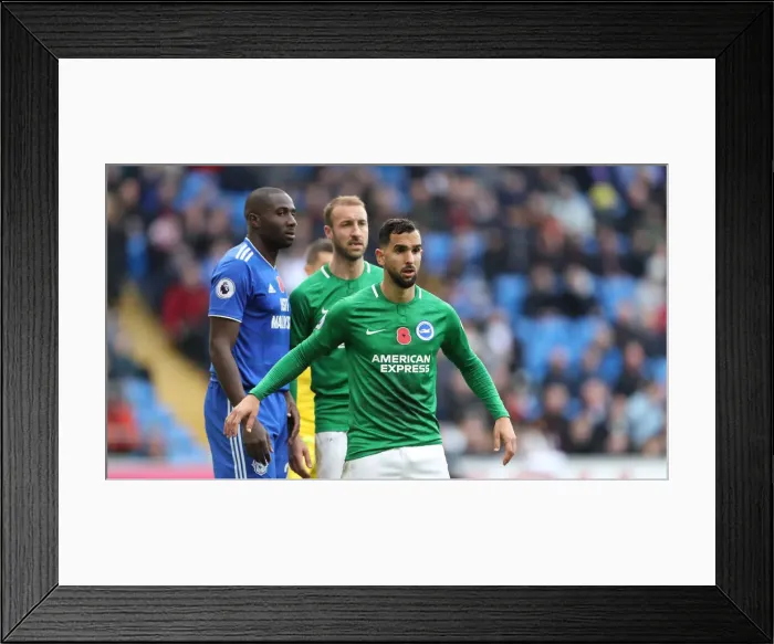 Framed Print : 10NOV18: Premier League Showdown - Cardiff City vs. Brighton and Hove Albion at Cardiff City Stadium Framed Print : 10NOV18: Premier League Showdown - Cardiff City vs. Brighton and Hove Albion at Cardiff City Stadium