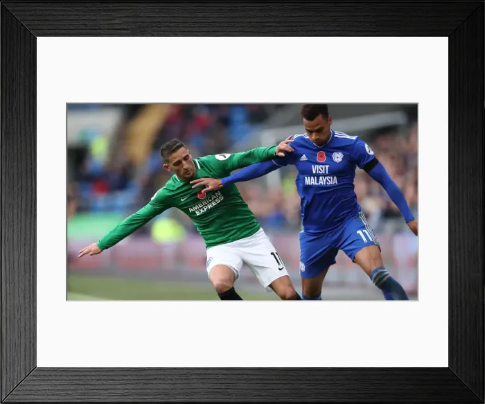 Framed Print : Premier League Showdown: Cardiff City vs. Brighton and Hove Albion (10NOV18) Framed Print : Premier League Showdown: Cardiff City vs. Brighton and Hove Albion (10NOV18)