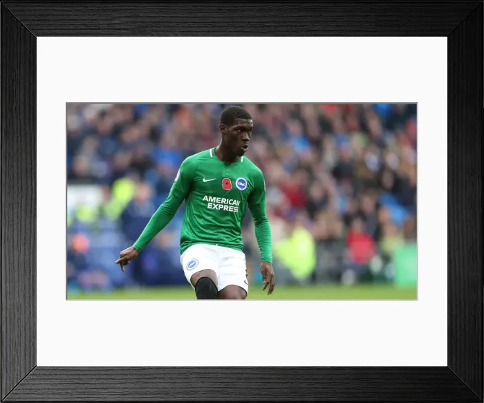 Framed Print : Premier League Showdown: Cardiff City vs. Brighton and Hove Albion (10NOV18) Framed Print : Premier League Showdown: Cardiff City vs. Brighton and Hove Albion (10NOV18)