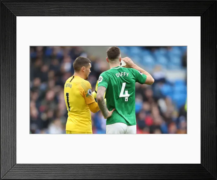 Framed Print : 10NOV18: Premier League Showdown - Cardiff City vs. Brighton and Hove Albion at Cardiff City Stadium