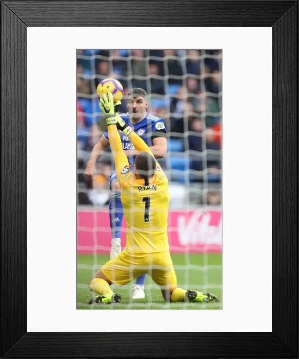 Framed Print : 10NOV18: Premier League Battle - Cardiff City vs. Brighton and Hove Albion at Cardiff City Stadium Framed Print : 10NOV18: Premier League Battle - Cardiff City vs. Brighton and Hove Albion at Cardiff City Stadium