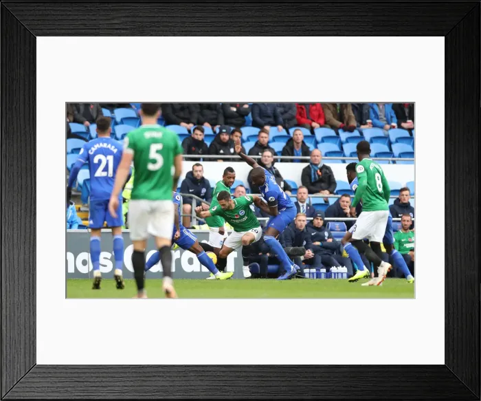 Framed Print : Premier League Showdown: Cardiff City vs. Brighton and Hove Albion (10NOV18) Framed Print : Premier League Showdown: Cardiff City vs. Brighton and Hove Albion (10NOV18)