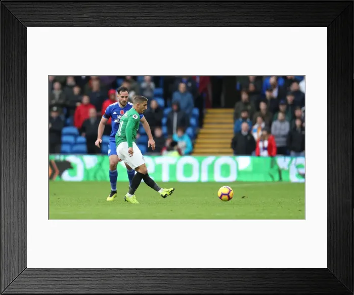 Framed Print : 10NOV18: Premier League Battle - Cardiff City vs. Brighton and Hove Albion at Cardiff City Stadium Framed Print : 10NOV18: Premier League Battle - Cardiff City vs. Brighton and Hove Albion at Cardiff City Stadium