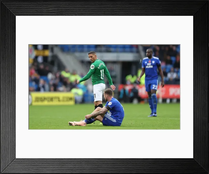 Framed Print : 10NOV18: Premier League Battle - Cardiff City vs. Brighton and Hove Albion at Cardiff City Stadium Framed Print : 10NOV18: Premier League Battle - Cardiff City vs. Brighton and Hove Albion at Cardiff City Stadium