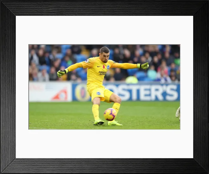 Framed Print : 10NOV18: Premier League Showdown - Cardiff City vs. Brighton and Hove Albion at Cardiff City Stadium Framed Print : 10NOV18: Premier League Showdown - Cardiff City vs. Brighton and Hove Albion at Cardiff City Stadium