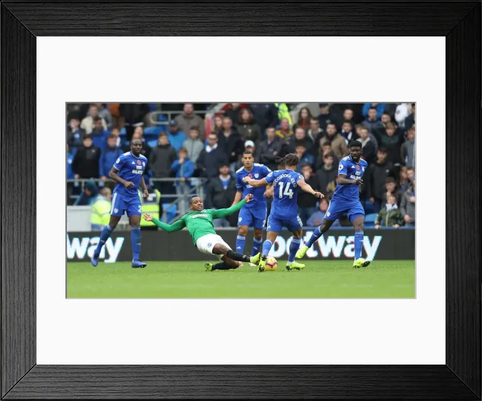 Framed Print : 10NOV18: Premier League Showdown - Cardiff City vs. Brighton and Hove Albion at Cardiff City Stadium Framed Print : 10NOV18: Premier League Showdown - Cardiff City vs. Brighton and Hove Albion at Cardiff City Stadium