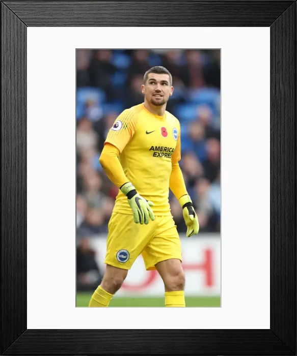 Framed Print : 10NOV18: Premier League Showdown - Cardiff City vs. Brighton and Hove Albion at Cardiff City Stadium Framed Print : 10NOV18: Premier League Showdown - Cardiff City vs. Brighton and Hove Albion at Cardiff City Stadium