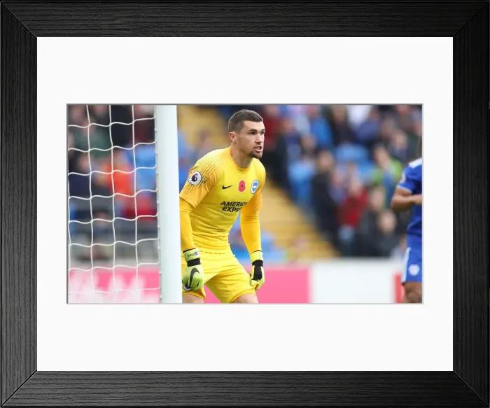 Framed Print : 10NOV18: Premier League Battle - Cardiff City vs. Brighton and Hove Albion at Cardiff City Stadium Framed Print : 10NOV18: Premier League Battle - Cardiff City vs. Brighton and Hove Albion at Cardiff City Stadium