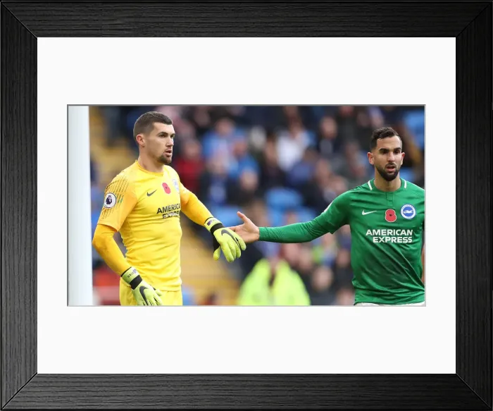 Framed Print : 10NOV18: Premier League Battle - Cardiff City vs. Brighton and Hove Albion at Cardiff City Stadium Framed Print : 10NOV18: Premier League Battle - Cardiff City vs. Brighton and Hove Albion at Cardiff City Stadium