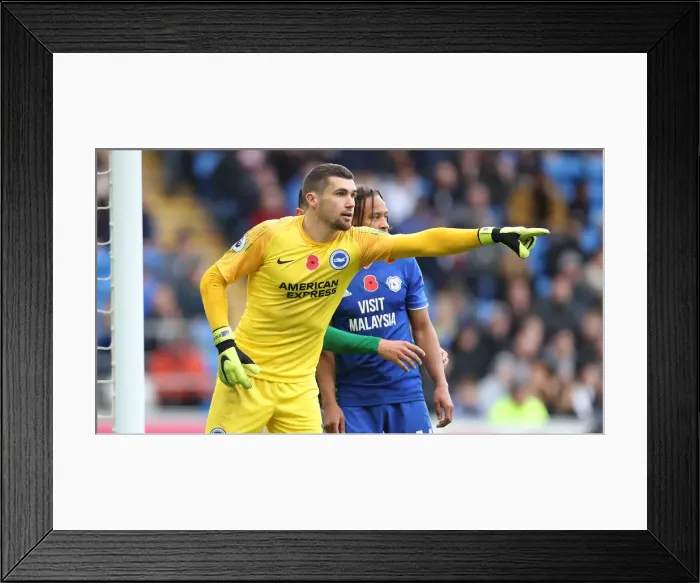 Framed Print : 10NOV18: Premier League Showdown - Cardiff City vs. Brighton and Hove Albion at Cardiff City Stadium Framed Print : 10NOV18: Premier League Showdown - Cardiff City vs. Brighton and Hove Albion at Cardiff City Stadium