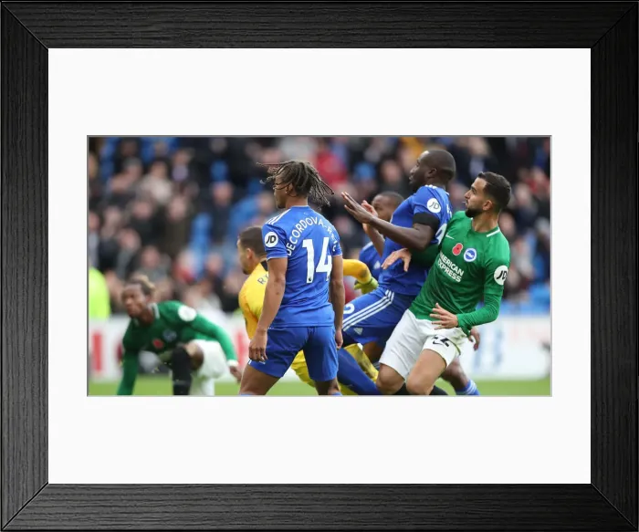 Framed Print : Premier League Showdown: Cardiff City vs. Brighton and Hove Albion (10NOV18) Framed Print : Premier League Showdown: Cardiff City vs. Brighton and Hove Albion (10NOV18)