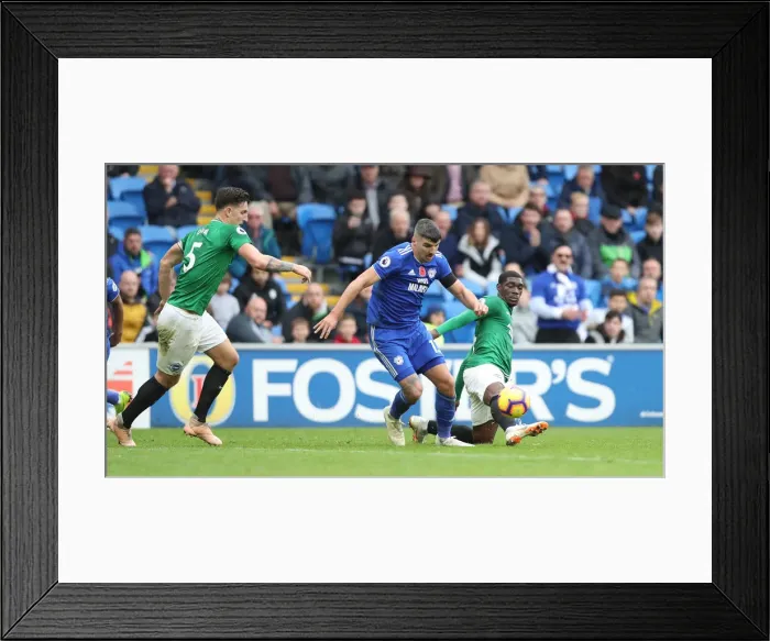 Framed Print : 10NOV18: Premier League Showdown - Cardiff City vs. Brighton and Hove Albion at Cardiff City Stadium Framed Print : 10NOV18: Premier League Showdown - Cardiff City vs. Brighton and Hove Albion at Cardiff City Stadium