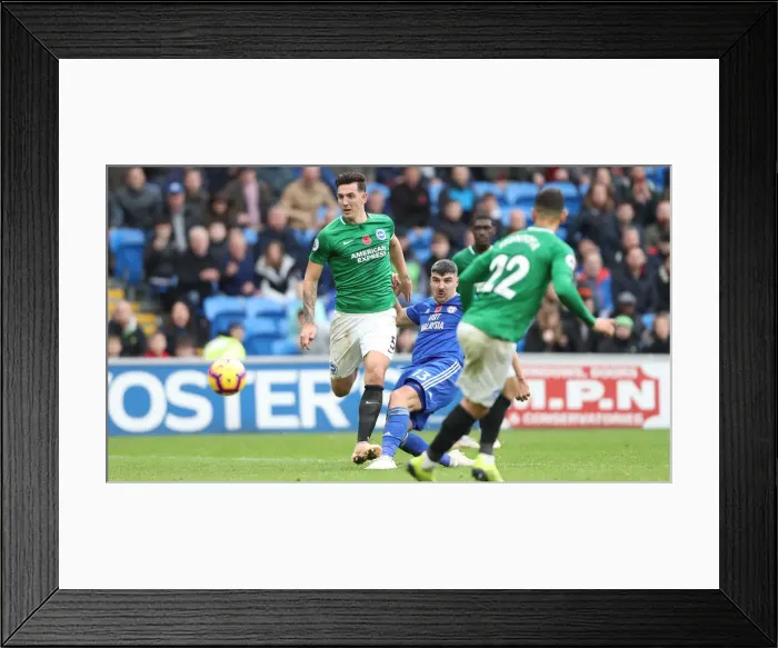Framed Print : 10NOV18: Premier League Battle - Cardiff City vs. Brighton and Hove Albion at Cardiff City Stadium Framed Print : 10NOV18: Premier League Battle - Cardiff City vs. Brighton and Hove Albion at Cardiff City Stadium