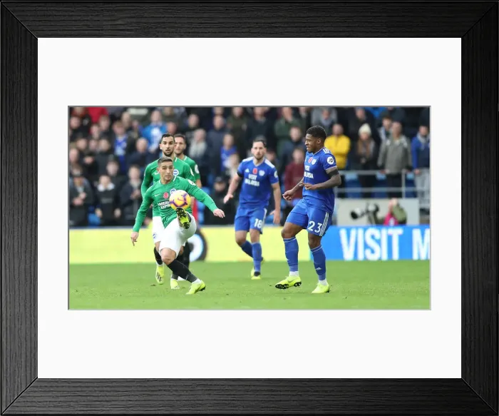 Framed Print : 10NOV18: Premier League Battle - Cardiff City vs. Brighton and Hove Albion at Cardiff City Stadium Framed Print : 10NOV18: Premier League Battle - Cardiff City vs. Brighton and Hove Albion at Cardiff City Stadium