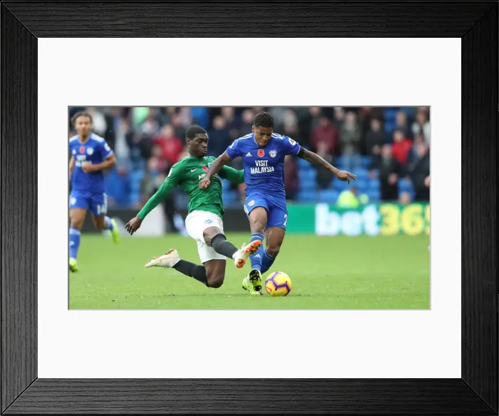 Framed Print : 10NOV18: Premier League Battle - Cardiff City vs. Brighton and Hove Albion at Cardiff City Stadium Framed Print : 10NOV18: Premier League Battle - Cardiff City vs. Brighton and Hove Albion at Cardiff City Stadium