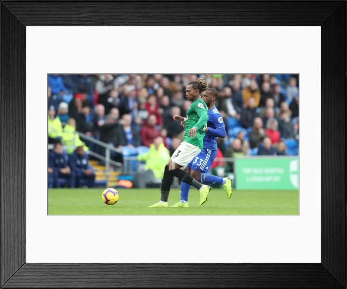 Framed Print : 10NOV18: Premier League Showdown - Cardiff City vs. Brighton and Hove Albion at Cardiff City Stadium Framed Print : 10NOV18: Premier League Showdown - Cardiff City vs. Brighton and Hove Albion at Cardiff City Stadium