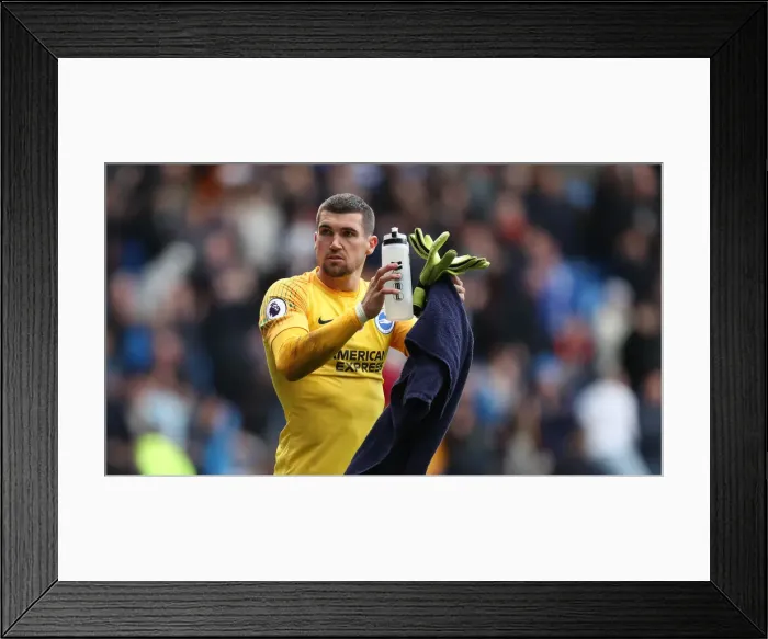 Framed Print : 10NOV18: Premier League Showdown - Cardiff City vs. Brighton and Hove Albion at Cardiff City Stadium Framed Print : 10NOV18: Premier League Showdown - Cardiff City vs. Brighton and Hove Albion at Cardiff City Stadium