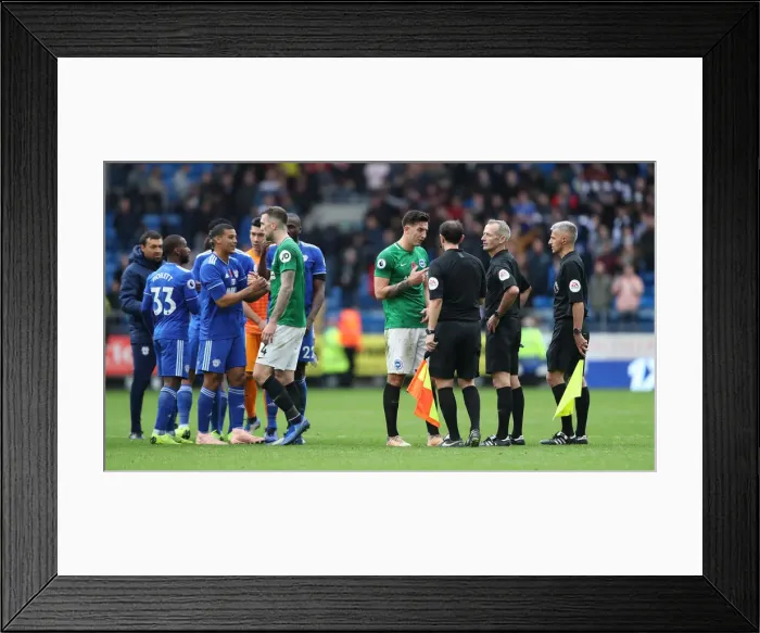 Framed Print : 10NOV18: Intense Premier League Battle - Cardiff City vs. Brighton and Hove Albion at Cardiff City Stadium Framed Print : 10NOV18: Intense Premier League Battle - Cardiff City vs. Brighton and Hove Albion at Cardiff City Stadium