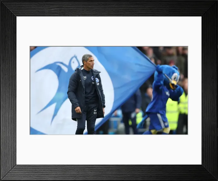 Framed Print : 10NOV18: Premier League Showdown - Cardiff City vs. Brighton and Hove Albion at Cardiff City Stadium Framed Print : 10NOV18: Premier League Showdown - Cardiff City vs. Brighton and Hove Albion at Cardiff City Stadium