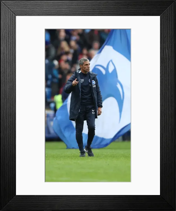 Framed Print : 10NOV18: Premier League Showdown - Cardiff City vs. Brighton and Hove Albion at Cardiff City Stadium Framed Print : 10NOV18: Premier League Showdown - Cardiff City vs. Brighton and Hove Albion at Cardiff City Stadium