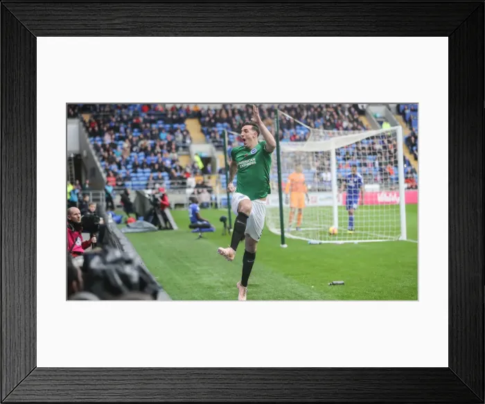 Framed Print : 10NOV18: Premier League Showdown - Cardiff City vs. Brighton and Hove Albion at Cardiff City Stadium
