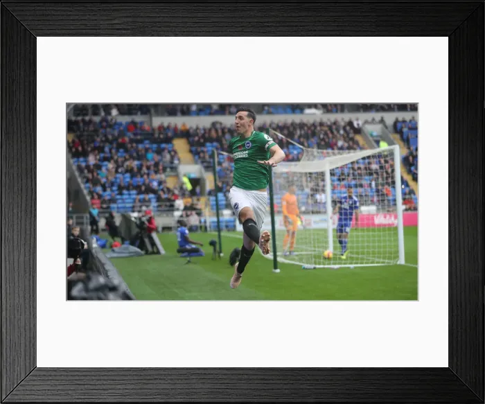 Framed Print : 10NOV18: Premier League Battle - Cardiff City vs. Brighton and Hove Albion at Cardiff City Stadium Framed Print : 10NOV18: Premier League Battle - Cardiff City vs. Brighton and Hove Albion at Cardiff City Stadium