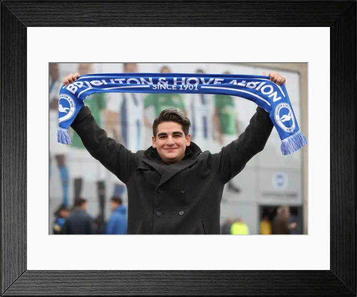 Framed Print : Brighton and Hove Albion vs. Leicester City: Premier League Showdown at American Express Community Stadium (November 2018) Framed Print : Brighton and Hove Albion vs. Leicester City: Premier League Showdown at American Express Community Stadium (November 2018)