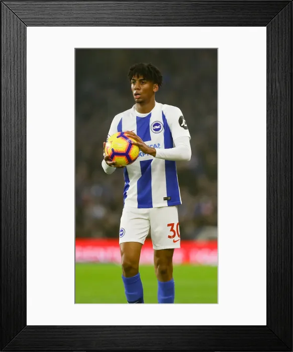 Framed Print : Brighton and Hove Albion vs. Leicester City: Premier League Showdown at American Express Community Stadium (November 2018) Framed Print : Brighton and Hove Albion vs. Leicester City: Premier League Showdown at American Express Community Stadium (November 2018)