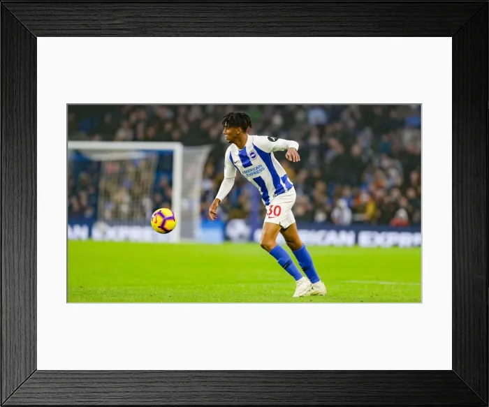 Framed Print : Brighton and Hove Albion vs. Leicester City: Premier League Showdown at American Express Community Stadium (November 24, 2018)
