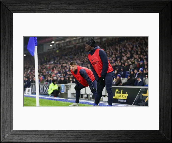 Framed Print : Brighton and Hove Albion vs. Leicester City: Premier League Showdown at American Express Community Stadium (November 2018) Framed Print : Brighton and Hove Albion vs. Leicester City: Premier League Showdown at American Express Community Stadium (November 2018)