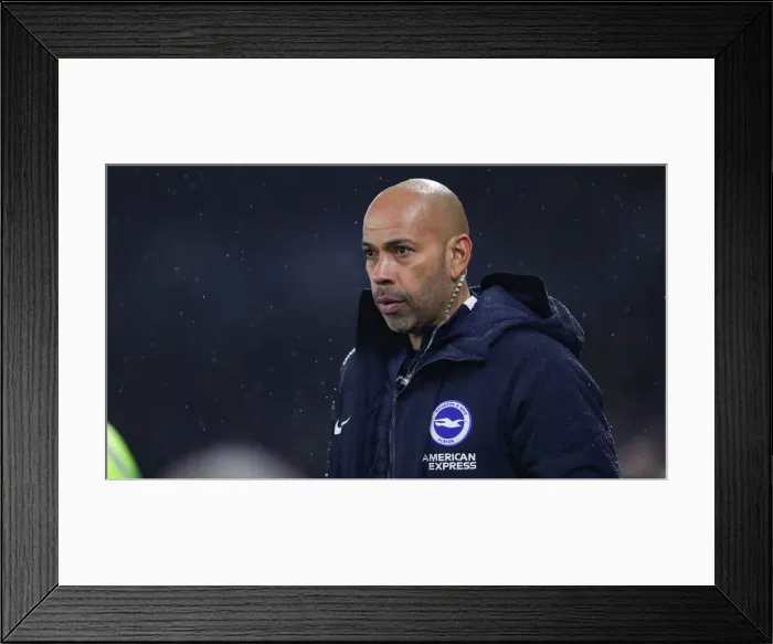Framed Print : Brighton and Hove Albion vs Leicester City: Premier League Showdown at American Express Community Stadium (November 2018) Framed Print : Brighton and Hove Albion vs Leicester City: Premier League Showdown at American Express Community Stadium (November 2018)