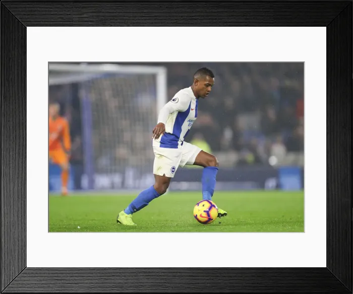 Framed Print : Brighton and Hove Albion vs. Leicester City: Premier League Battle at American Express Community Stadium (Nov. 24, 2018) Framed Print : Brighton and Hove Albion vs. Leicester City: Premier League Battle at American Express Community Stadium (Nov. 24, 2018)