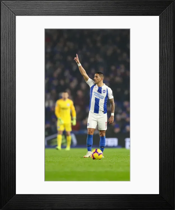 Framed Print : Brighton and Hove Albion vs Leicester City: Premier League Showdown at American Express Community Stadium (November 2018) Framed Print : Brighton and Hove Albion vs Leicester City: Premier League Showdown at American Express Community Stadium (November 2018)