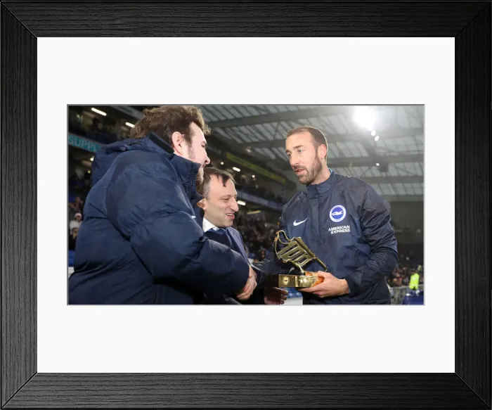 Framed Print : Brighton and Hove Albion vs Leicester City: Premier League Showdown at American Express Community Stadium (November 2018) Framed Print : Brighton and Hove Albion vs Leicester City: Premier League Showdown at American Express Community Stadium (November 2018)